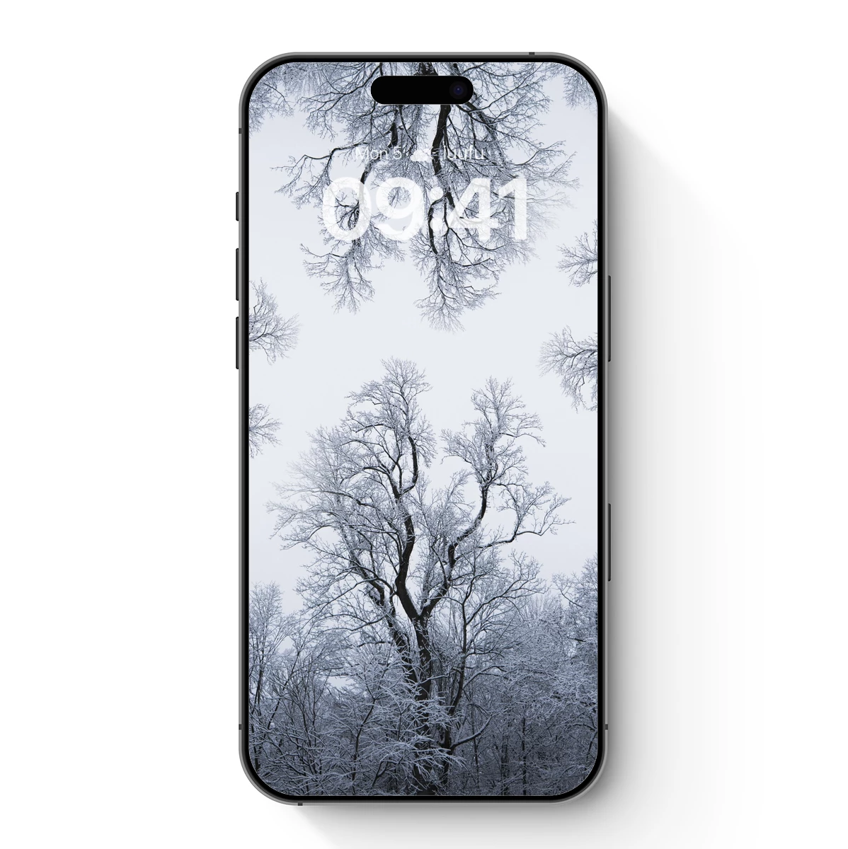 Frost-Kissed Canopy: Winter’s Silent Embrace Frost-Kissed Canopy: Winter's Silent Embrace