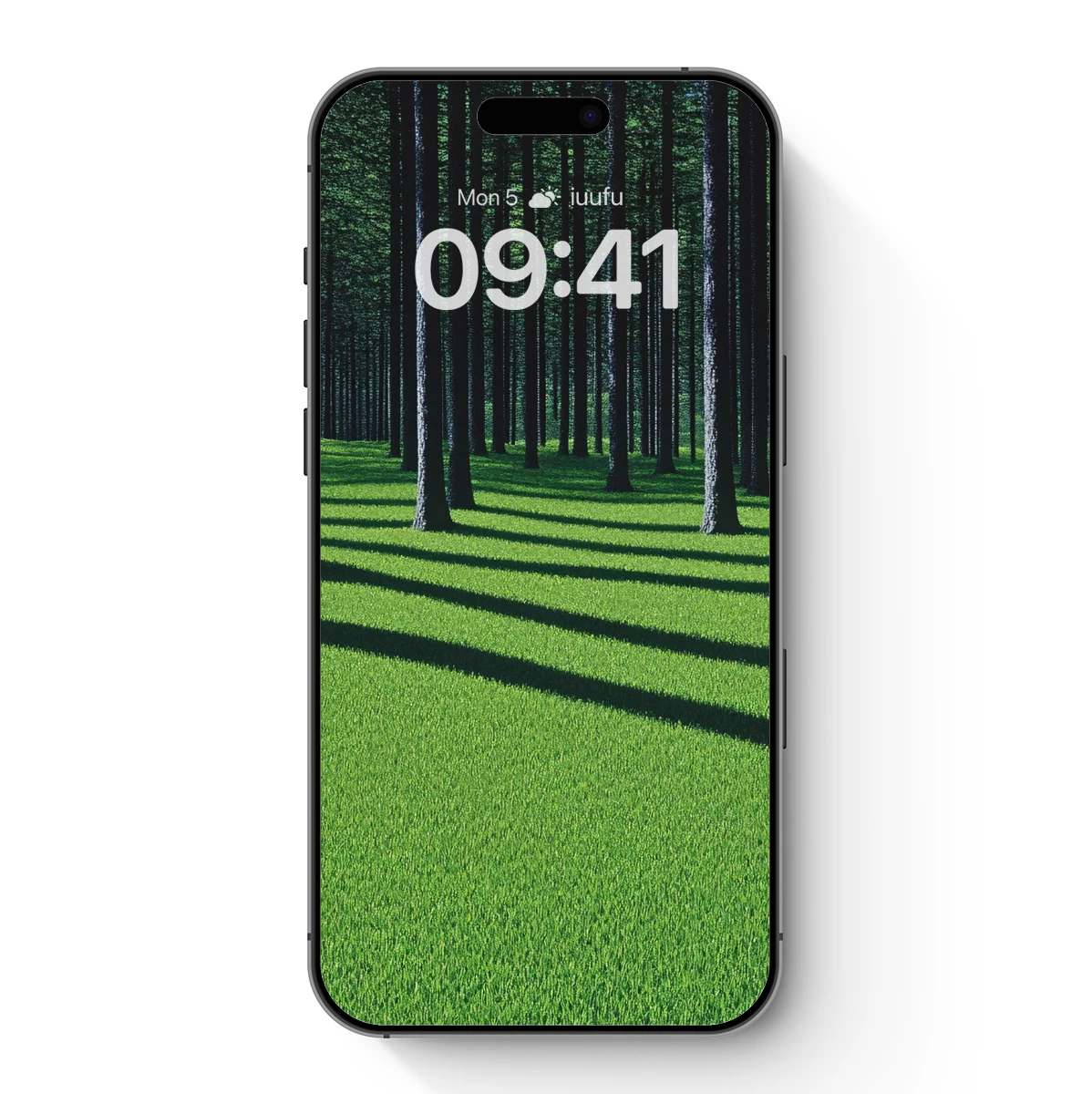 Forest Shadows: A Symphony of Light and Green Forest Shadows: A Symphony of Light and Green