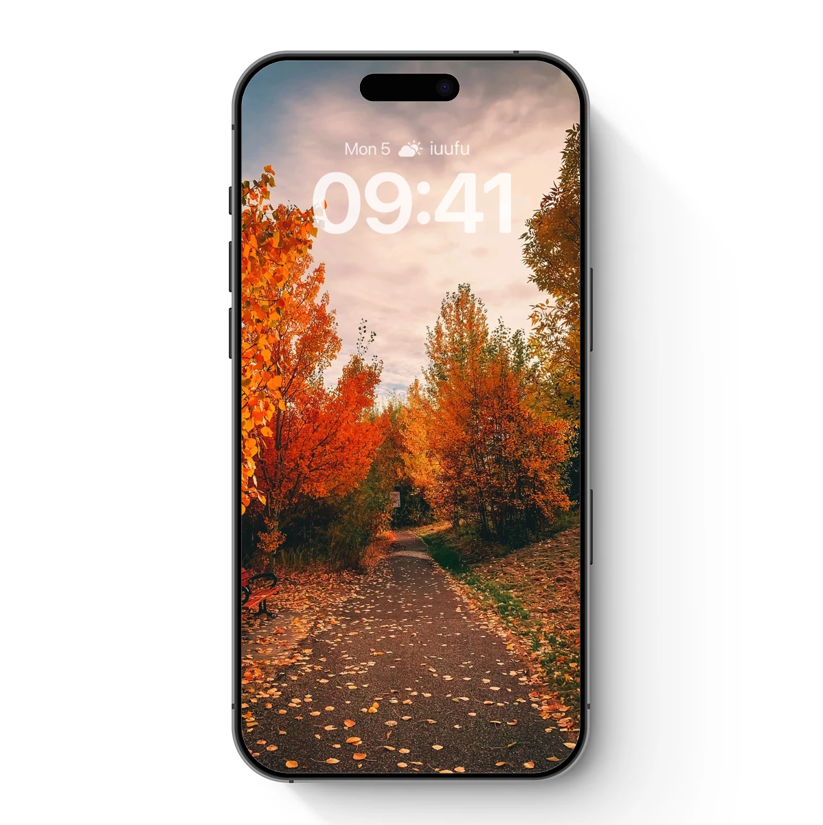 Autumn’s Golden Pathway Autumn's Golden Pathway