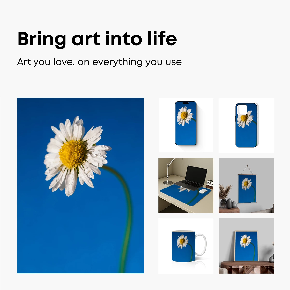 Dew-Kissed Daisy Against Vibrant Blue Sky - Image 2