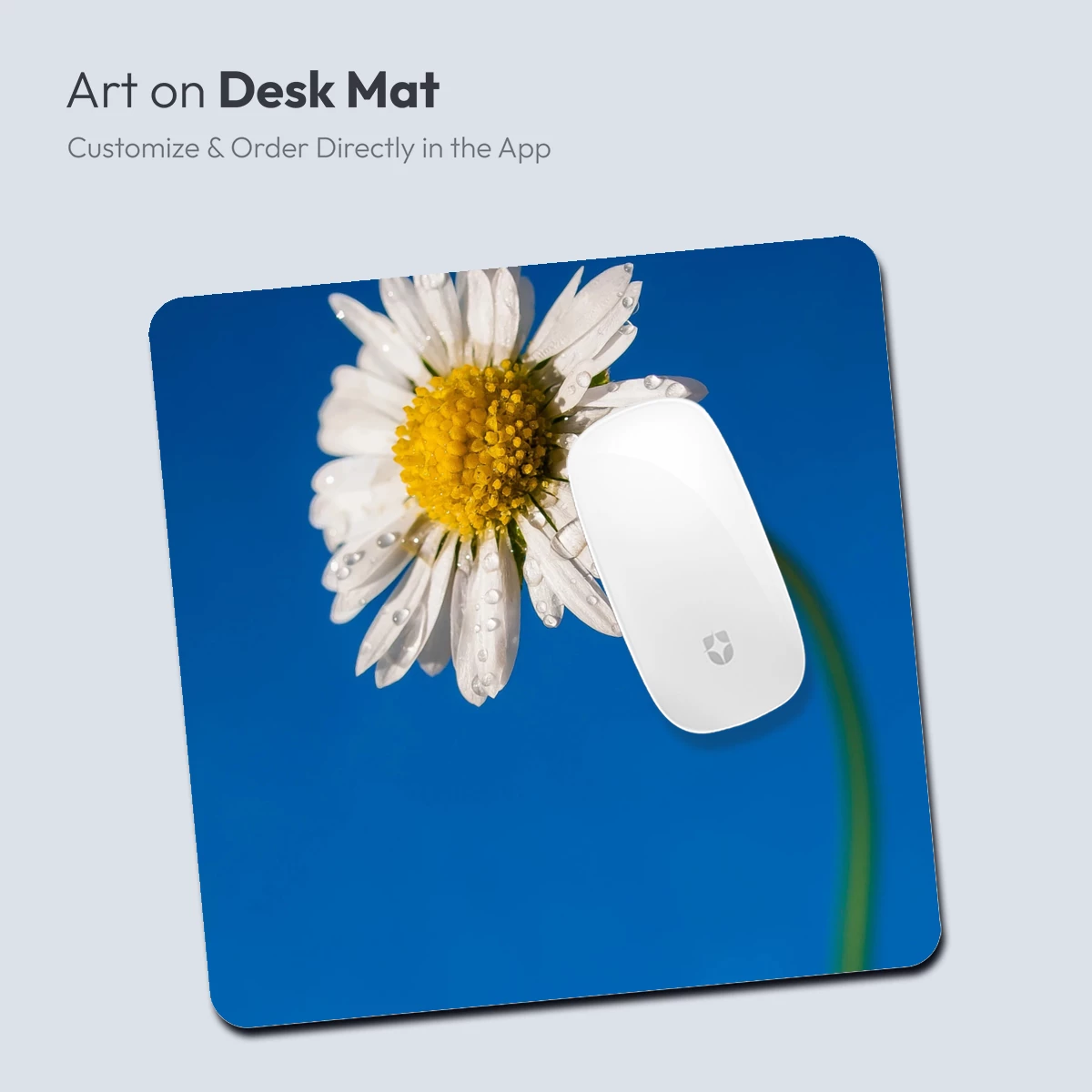 Dew-Kissed Daisy Against Vibrant Blue Sky - Image 4