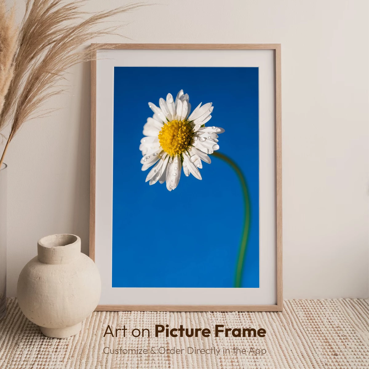 Dew-Kissed Daisy Against Vibrant Blue Sky - Image 7