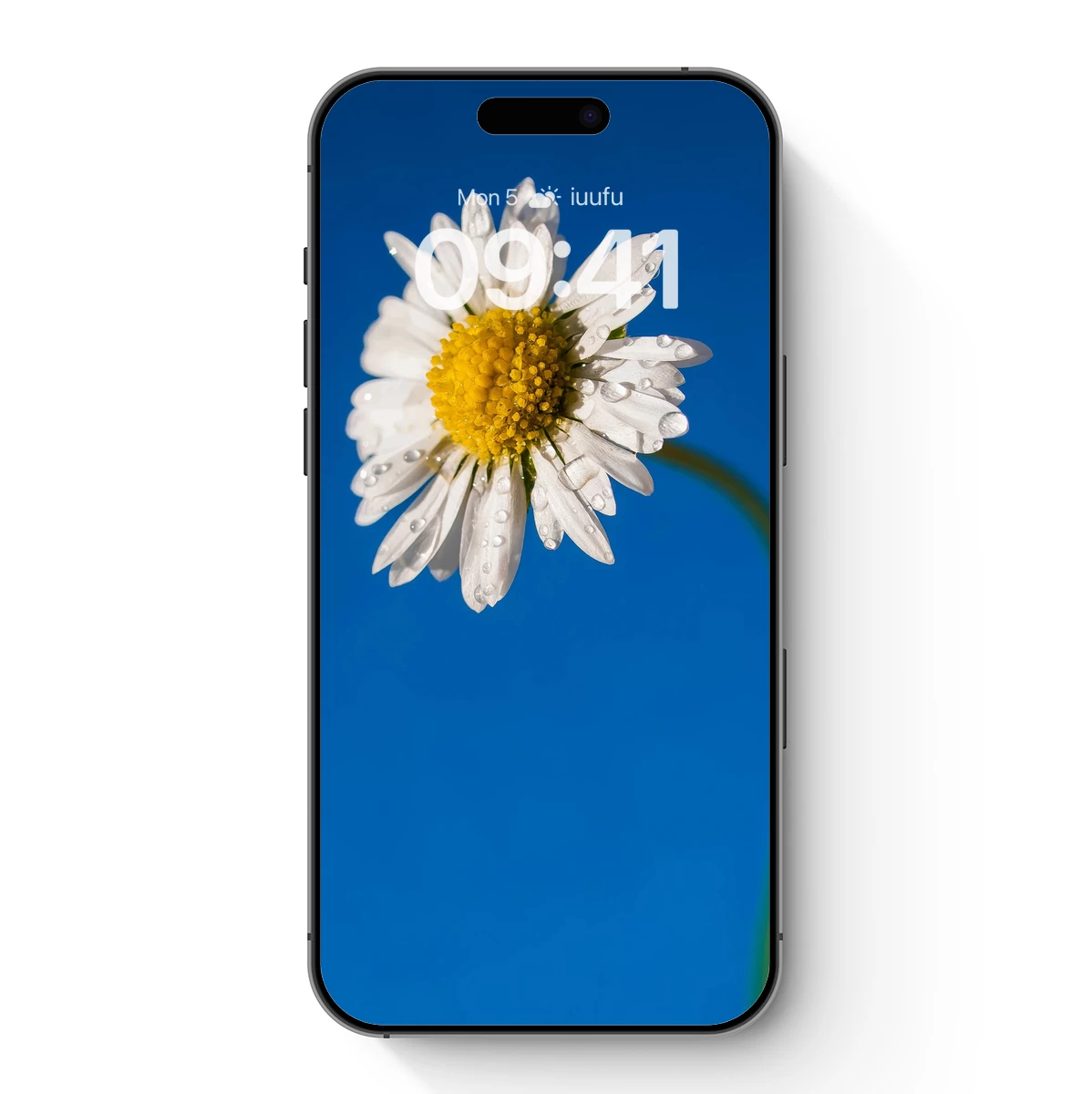 Dew-Kissed Daisy Against Vibrant Blue Sky