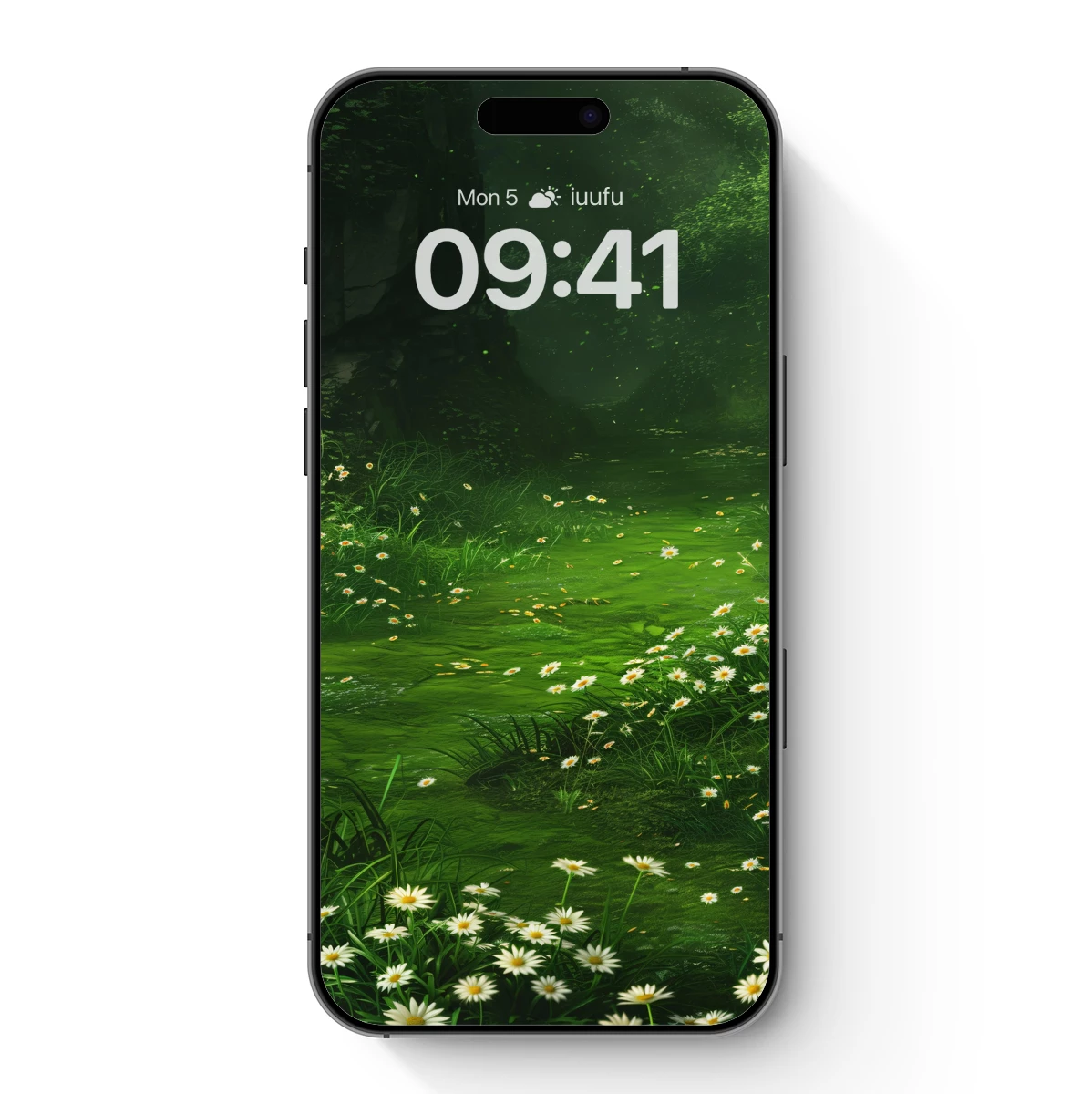 Enchanted Daisy Stream