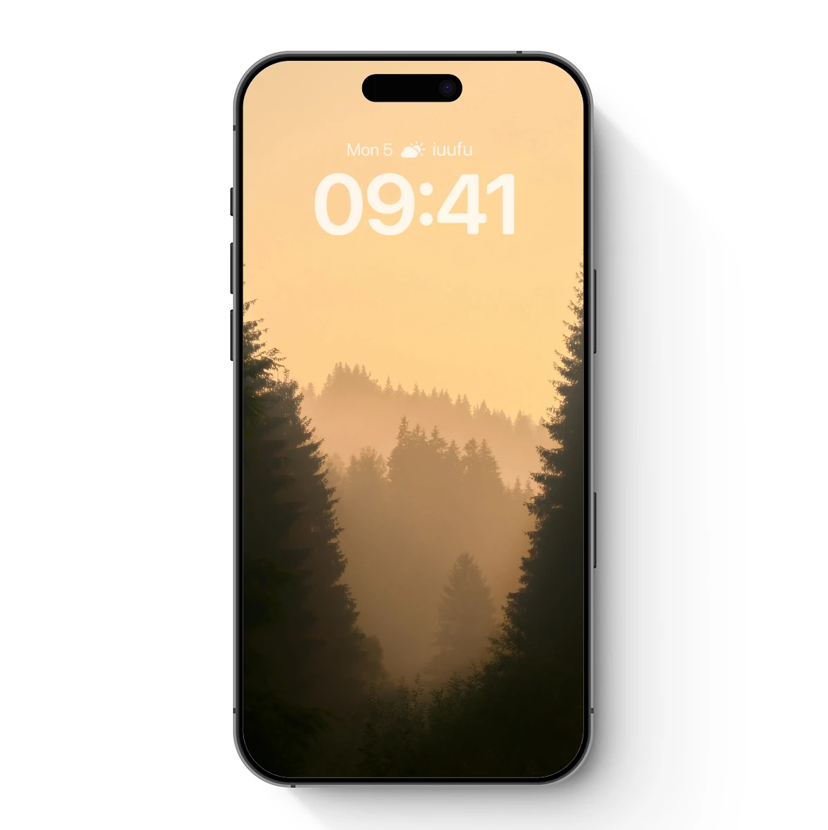 Misty Dawn in the Pine Forest