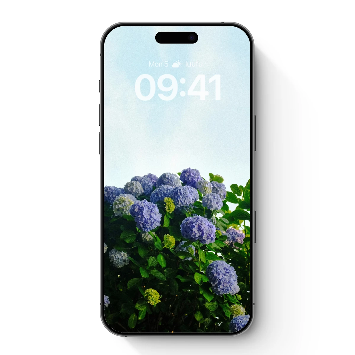 Ethereal Hydrangea Bloom Under Soft Skies