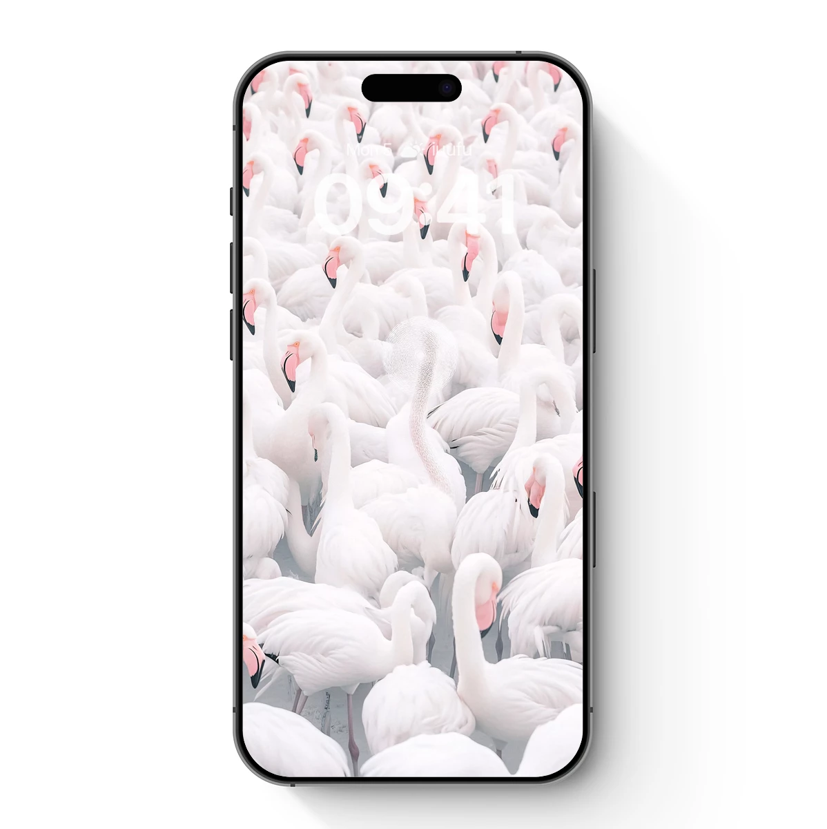 Elegant Flamingo Symphony