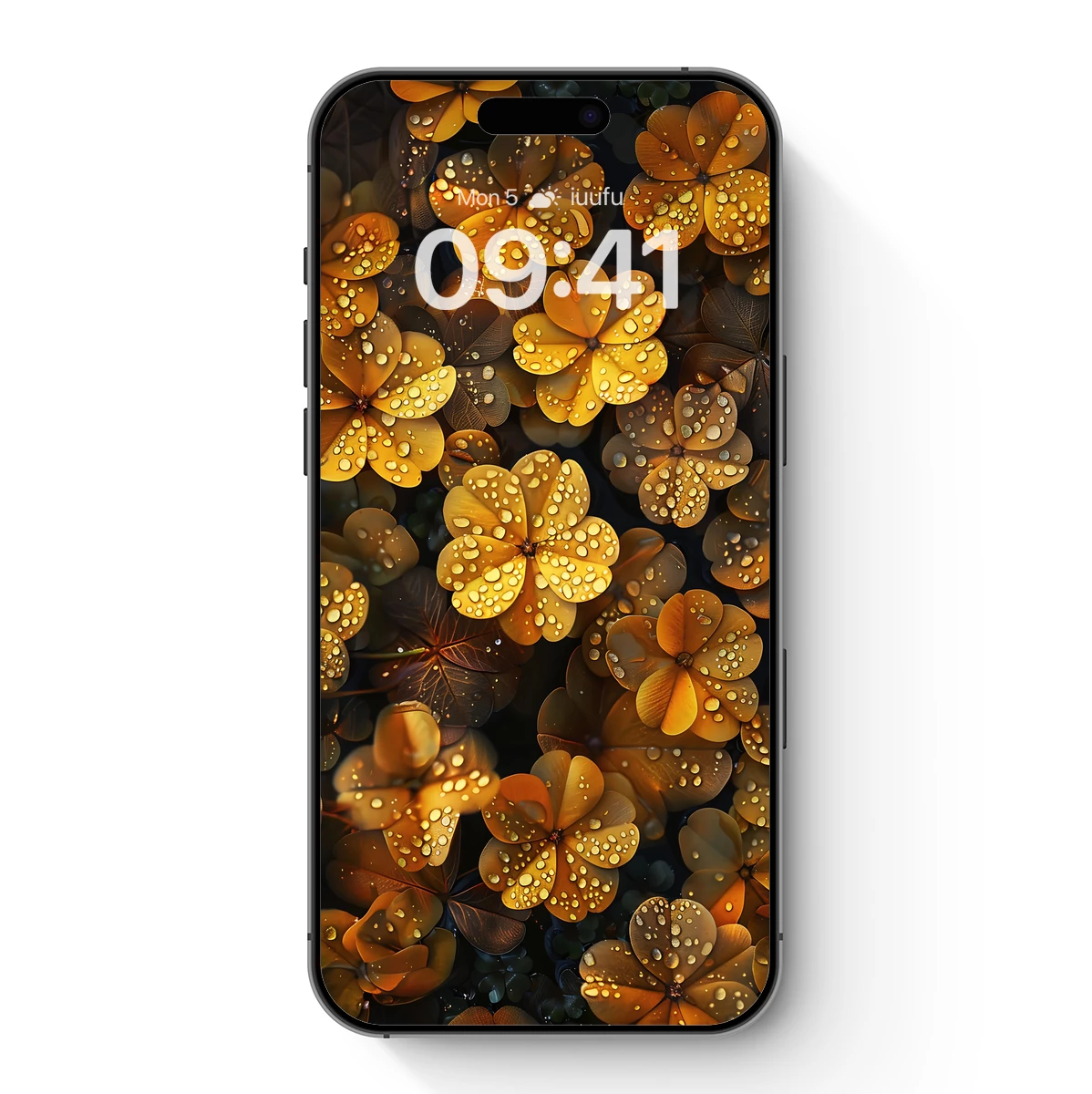 Golden Dew Drops on Clover Leaves Golden Dew Drops on Clover Leaves