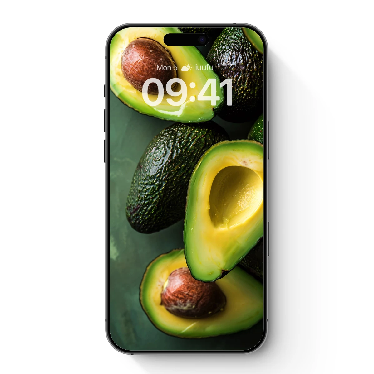 Avocado Symphony: Nature's Creamy Richness