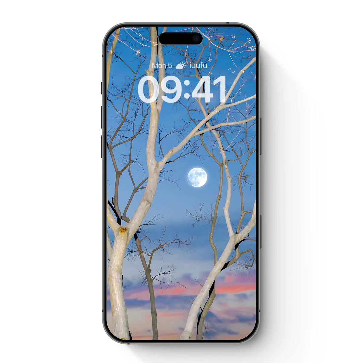 Bare Branches and Moonlit Serenity