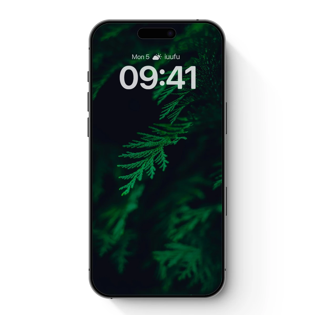 Ethereal Evergreen Whispers