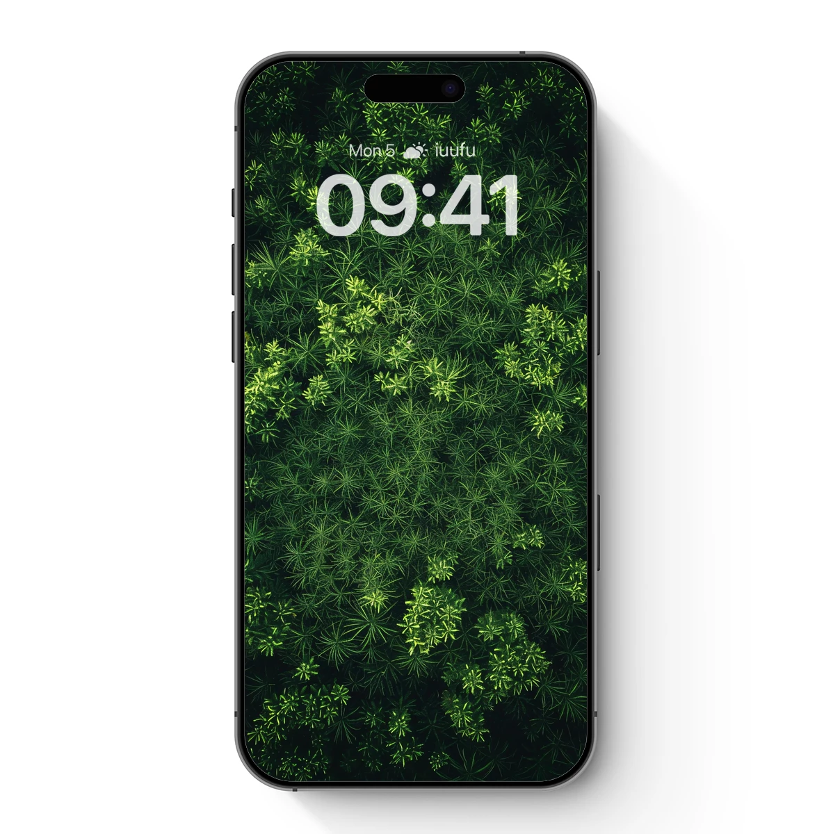 Forest Canopy Symphony: Aerial Green Tapestry Forest Canopy Symphony: Aerial Green Tapestry