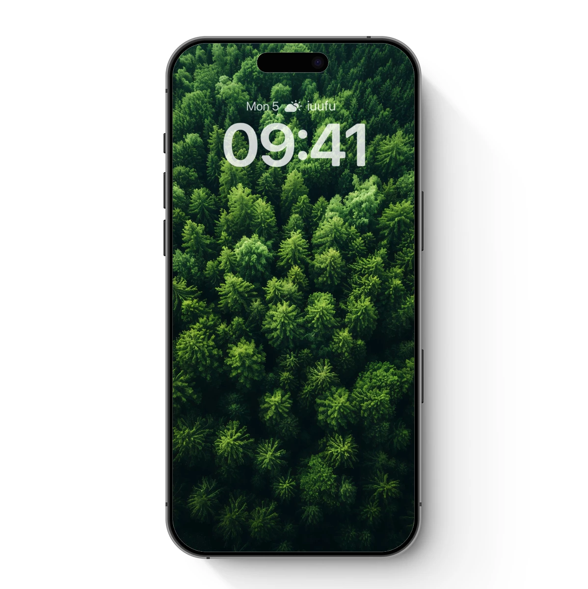 Canopy Whisper: Aerial Forest Serenity