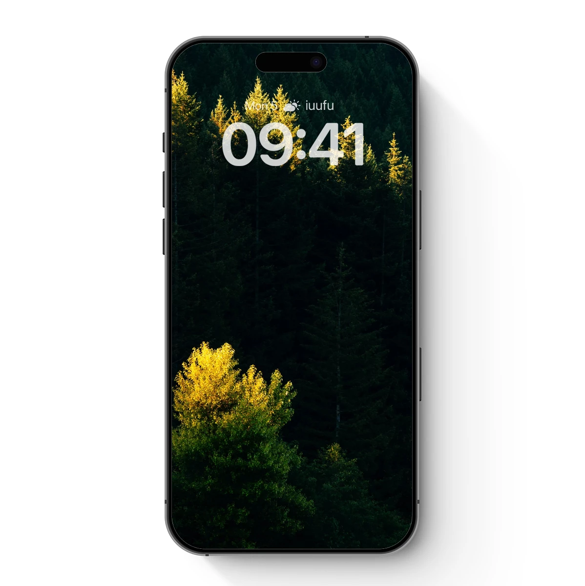 Golden Pines in Twilight Forest