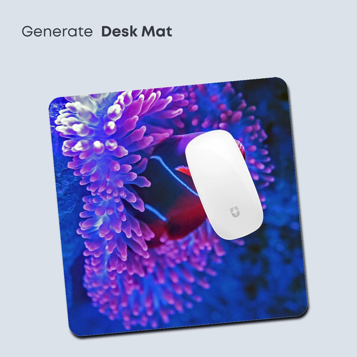 Coral Embrace: Clownfish in Vibrant Anemone - Image 4