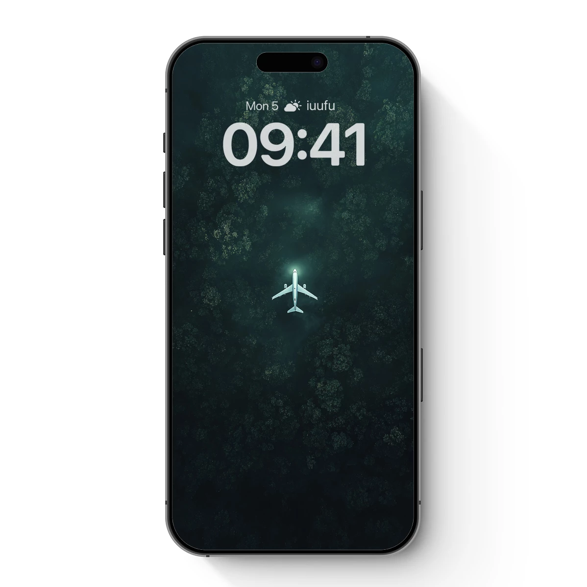 Aerial Solitude: Plane Amidst Forest Canopy