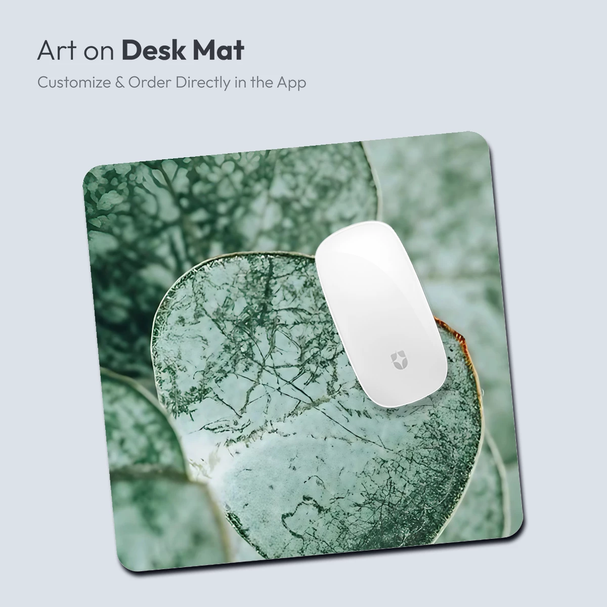 Eucalyptus Vein Artistry - Image 4