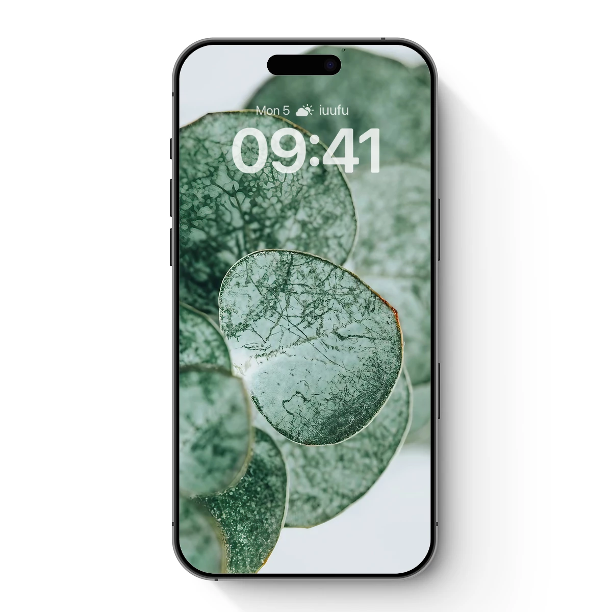 Eucalyptus Vein Artistry Eucalyptus Vein Artistry