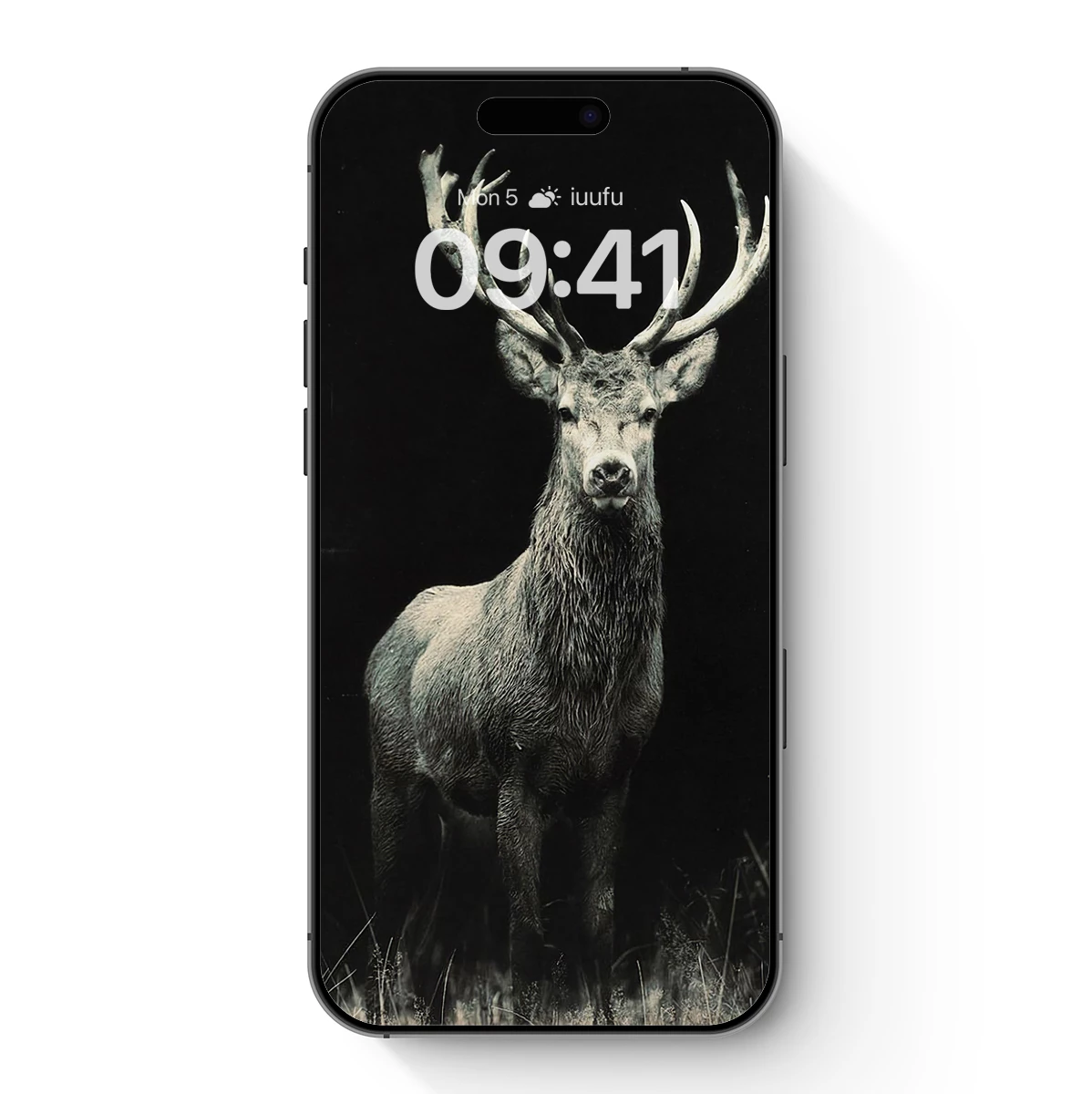 Monochrome Majesty: Stag in Shadows