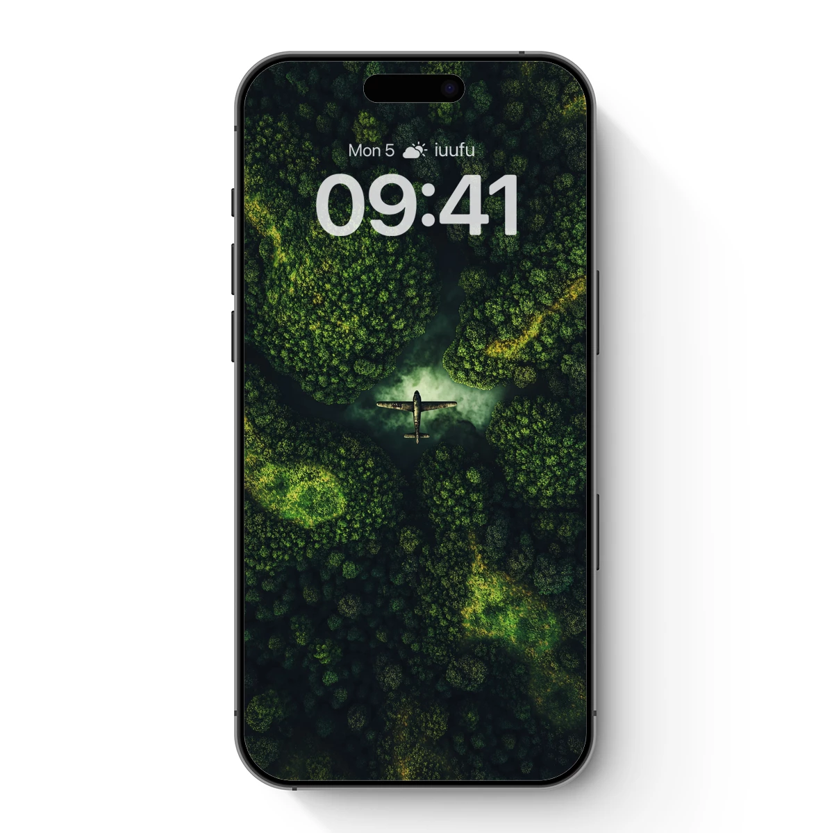 Aerial Odyssey: Plane Soars Over Verdant Labyrinth