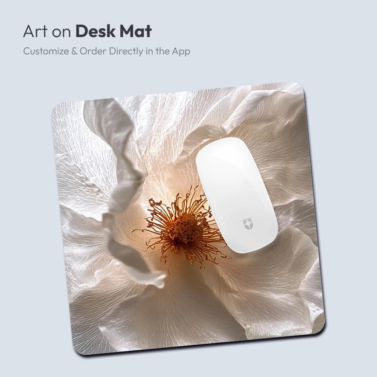 Ethereal White Blossom: Veined Petals and Golden Stamen - Image 3