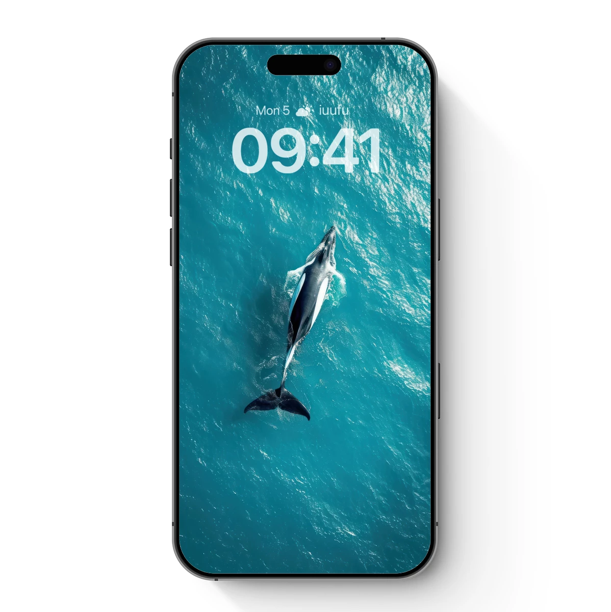 Aerial Serenity: Dolphin's Ocean Dance