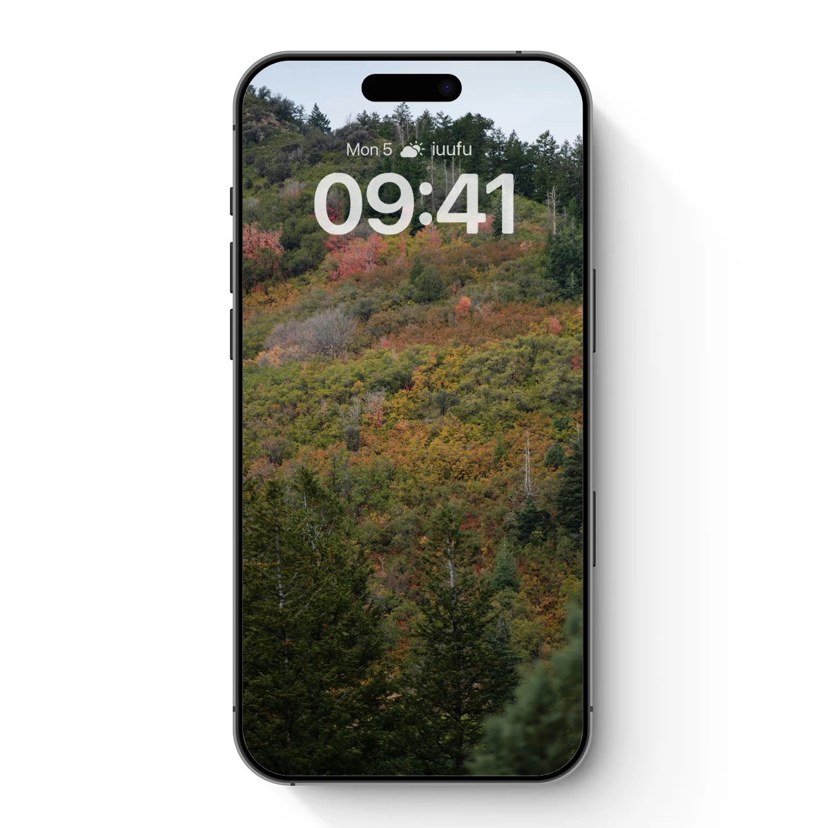 Autumn's Palette: Forest in Transition