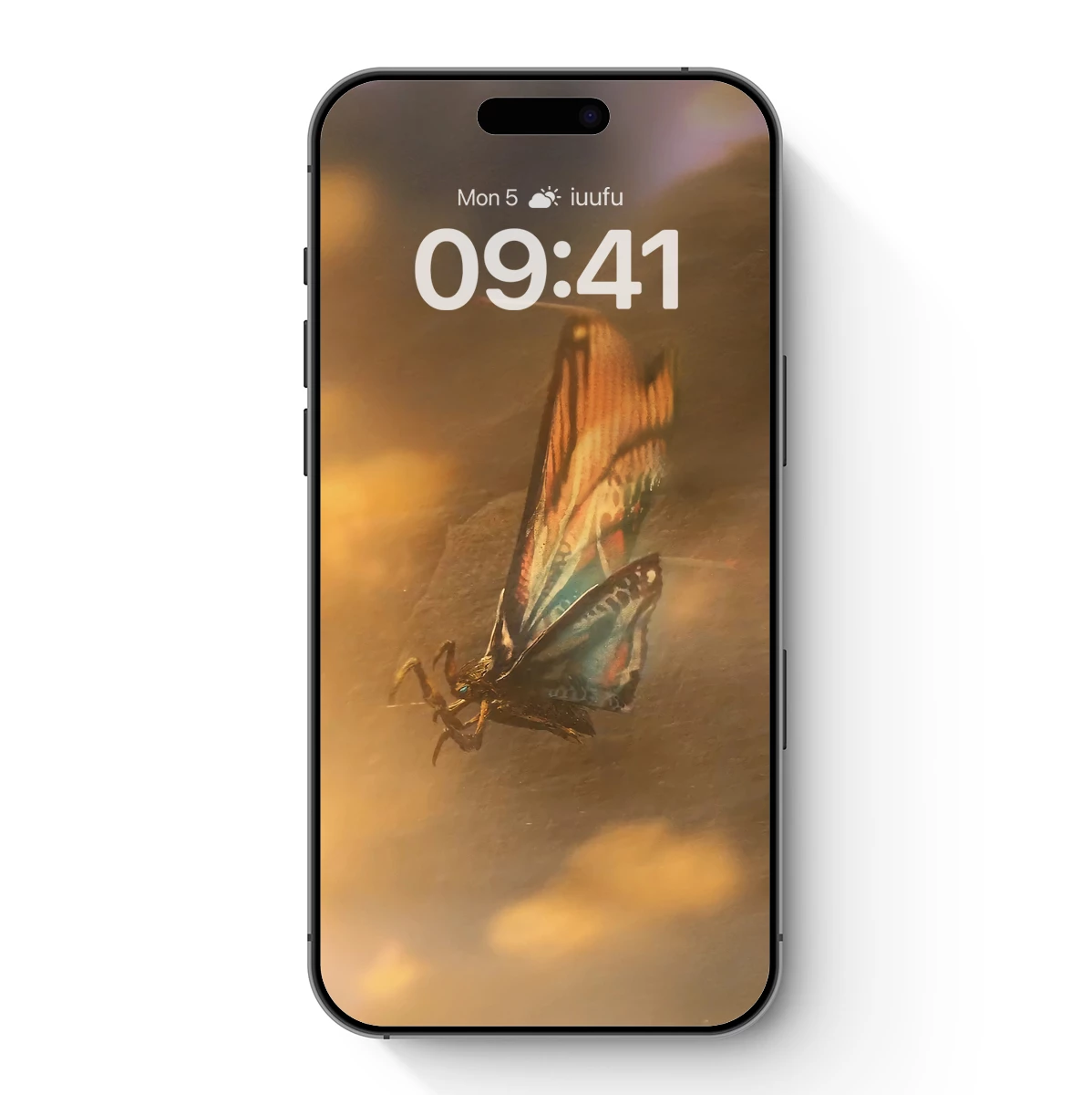 Butterfly in Amber Haze