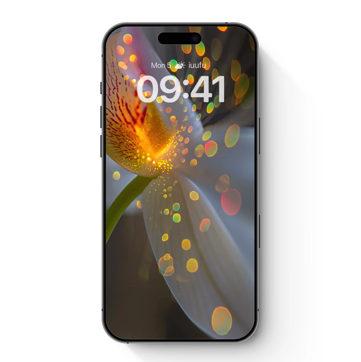 Illuminated Orchid: Bokeh Symphony