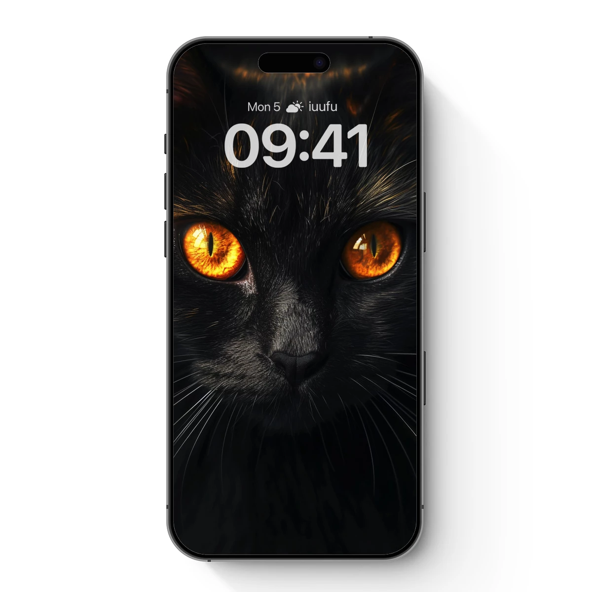 Glowing Eyes of the Midnight Cat Glowing Eyes of the Midnight Cat