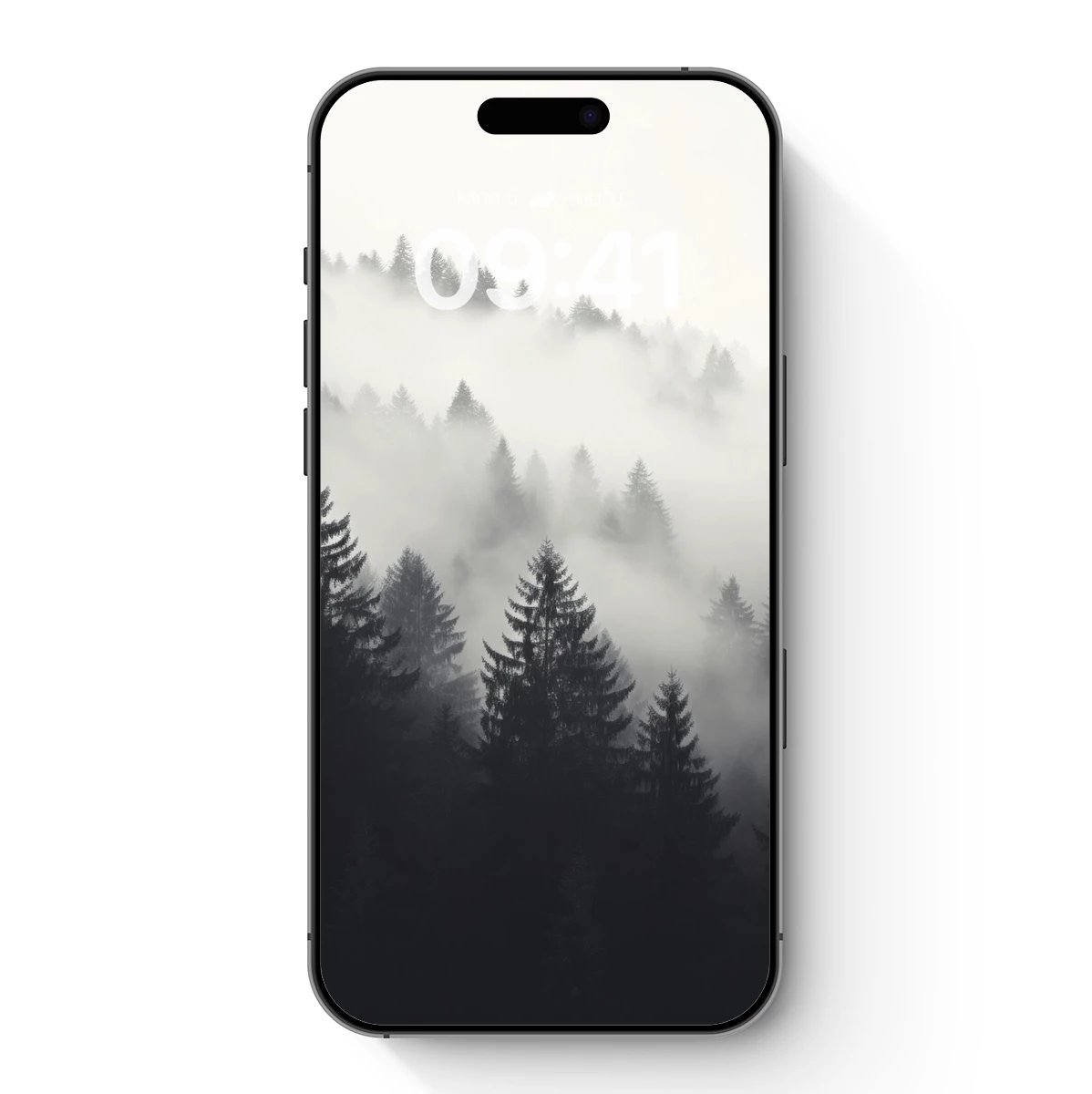 Misty Pine Forest: Veiled Elegance in Fog