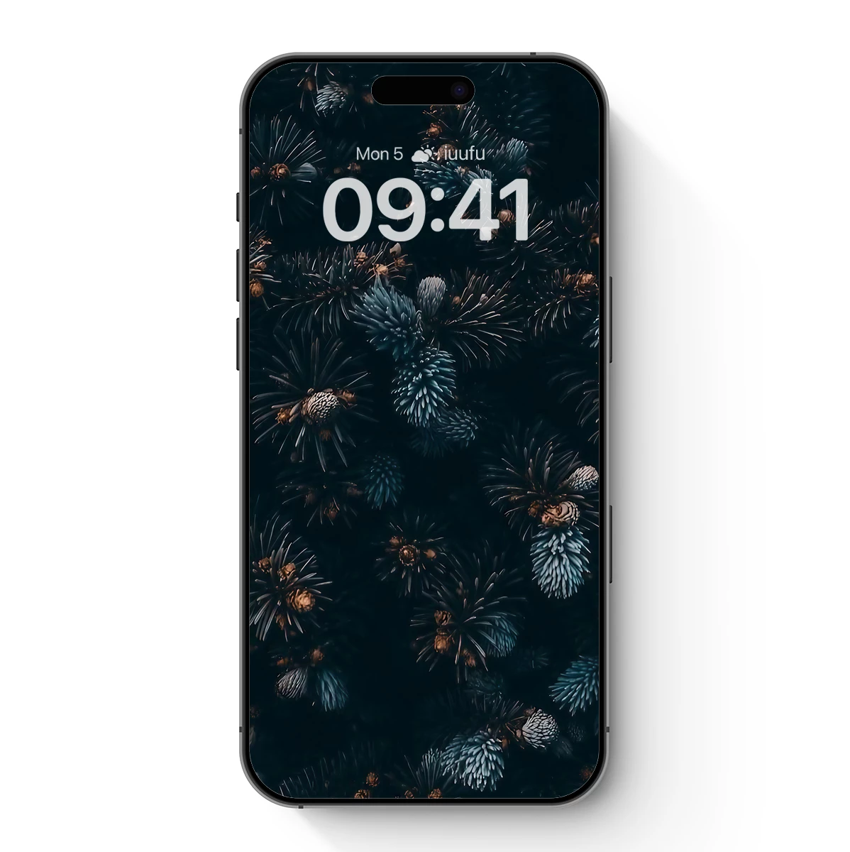 Eternal Evergreen: Frosty Needles in Midnight Hues