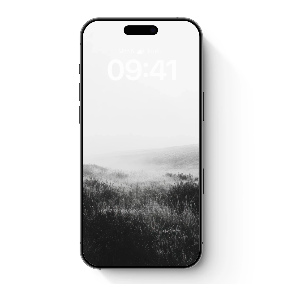 Misty Moorland Elegance