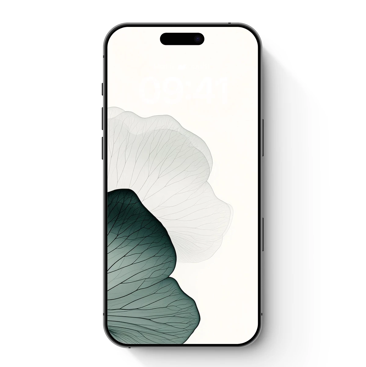 Ethereal Ginkgo Leaves: A Study in Transparency and Shadow