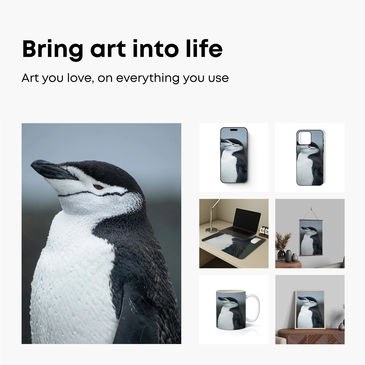 Chinstrap Penguin Portrait: Wet Feathers and Watchful Eyes - Image 2