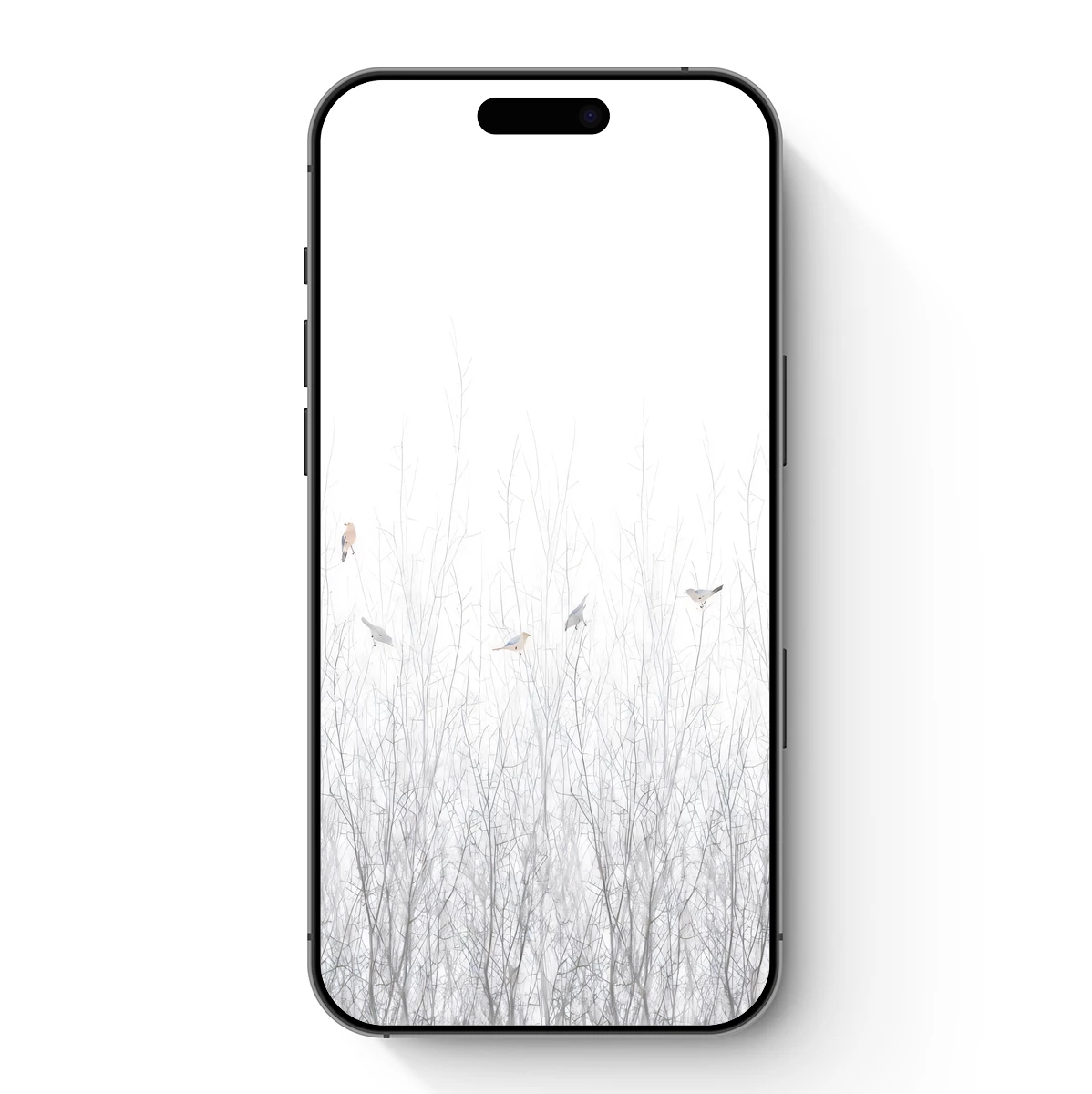 Frosty Flight: Birds in Winter's Embrace