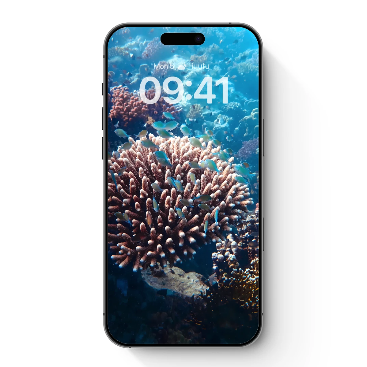 Coral Symphony: Fish Dance in Azure Depths