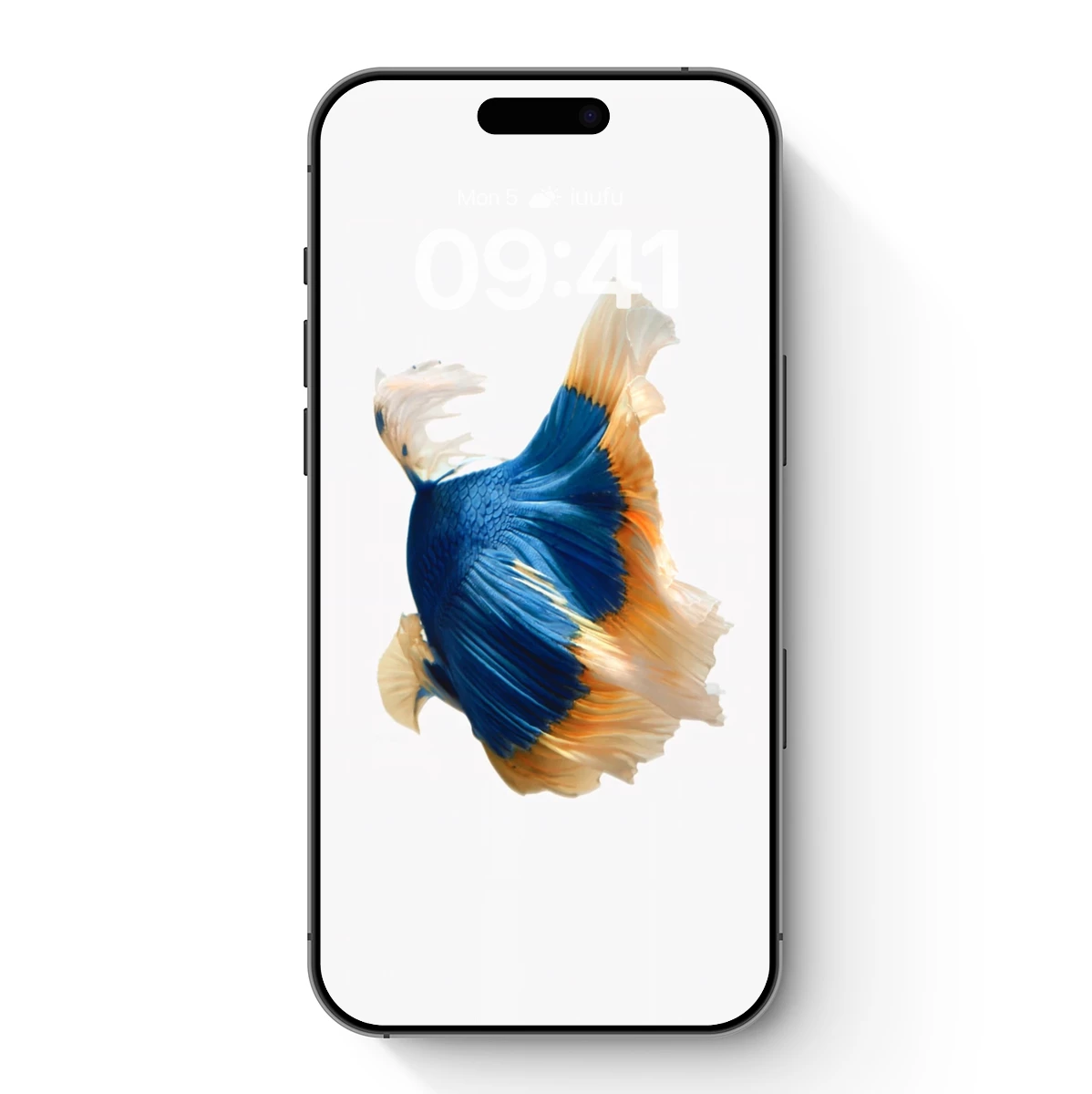 Elegant Betta Fish in Ethereal Dance