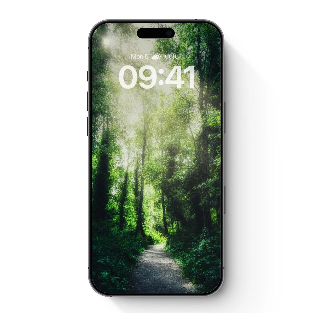 Enchanted Forest Pathway