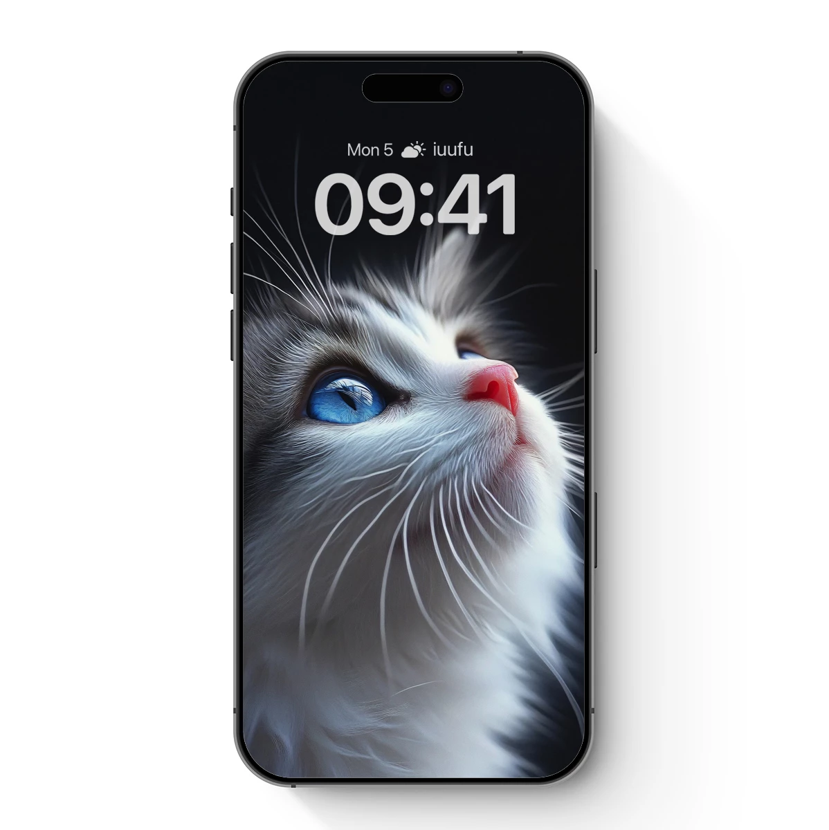 Ethereal Feline Gaze: Blue-Eyed Fluff in Midnight