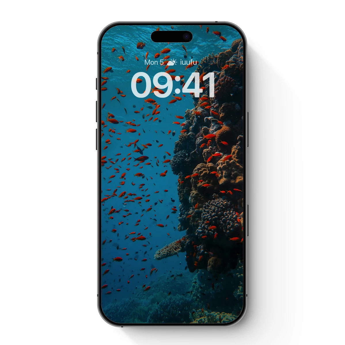 Coral Reef Symphony: A Vivid Underwater Ballet