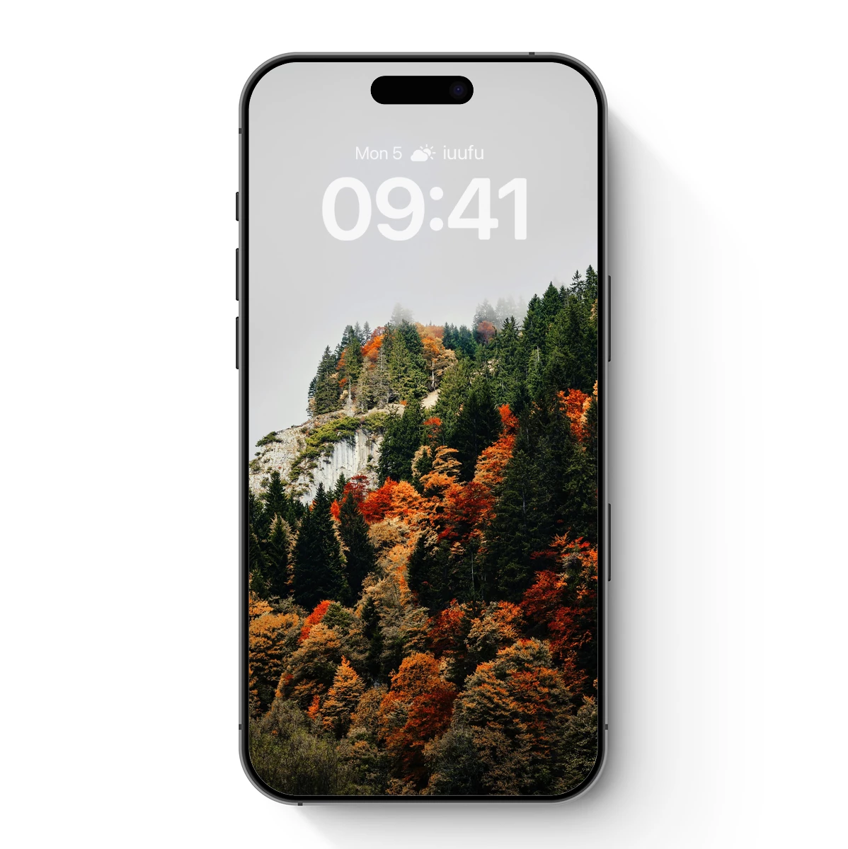 Autumn's Palette on Rocky Heights