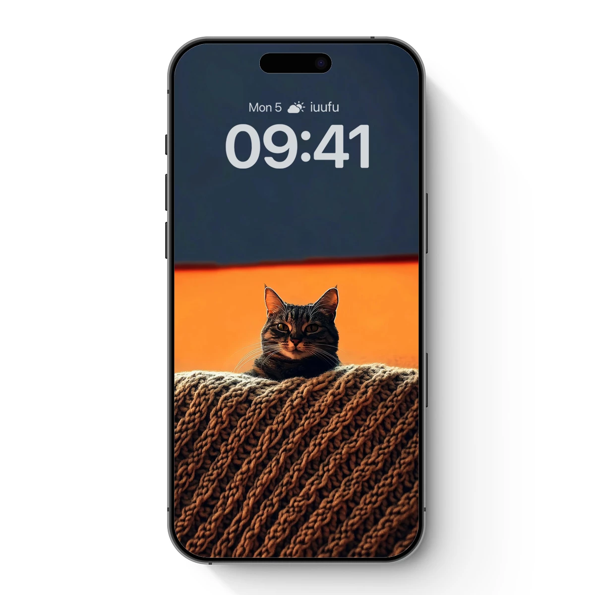 Cozy Knit Cat: Warmth Meets Whiskers