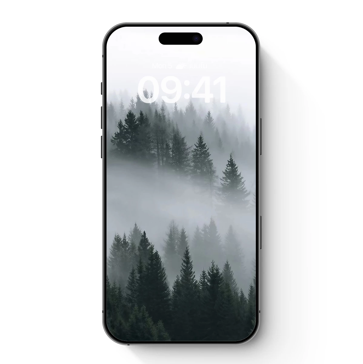 Misty Pine Canopy: A Veil of Silence