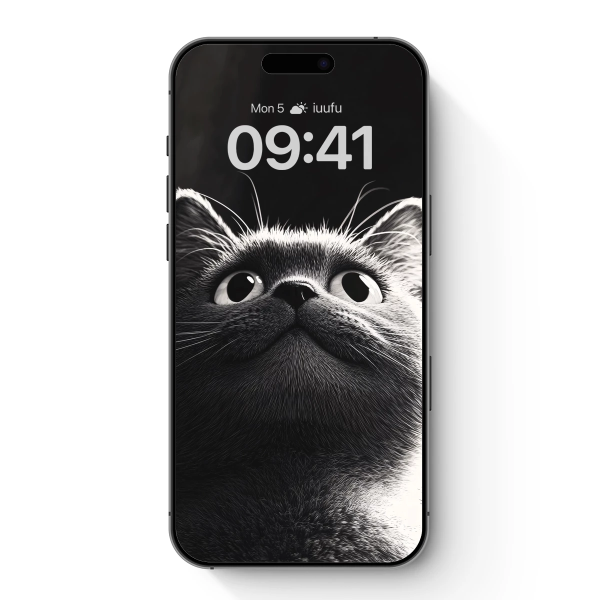 Monochrome Feline Gaze: Whiskers and Wonder Monochrome Feline Gaze: Whiskers and Wonder