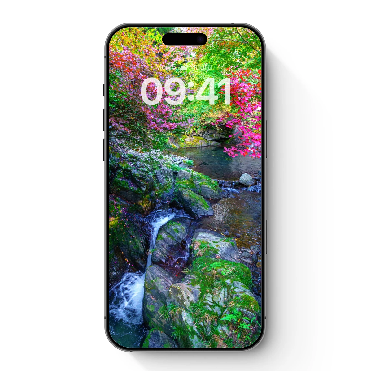 Autumnal Stream Symphony