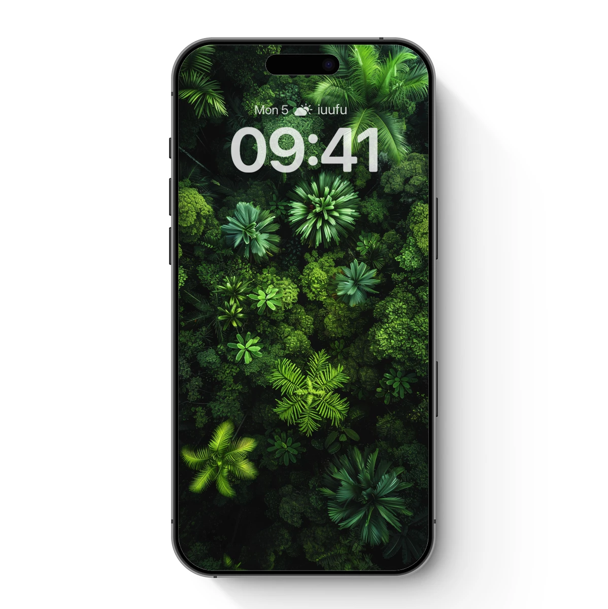 Canopy Symphony: Aerial Jungle Lushness