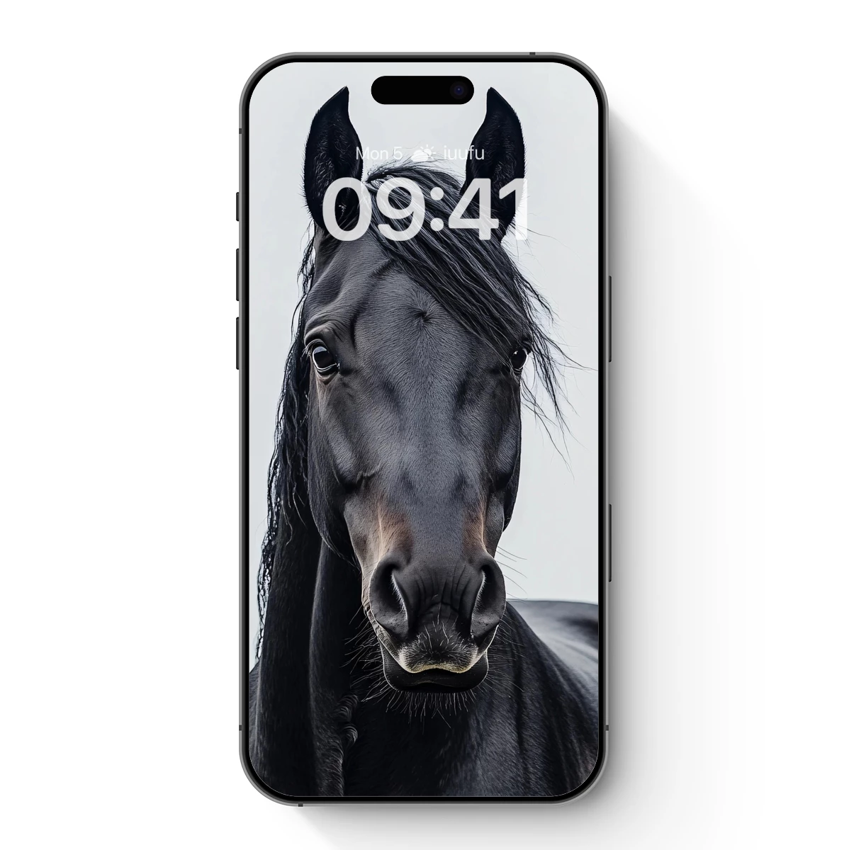 Elegant Black Stallion: A Study in Equine Majesty