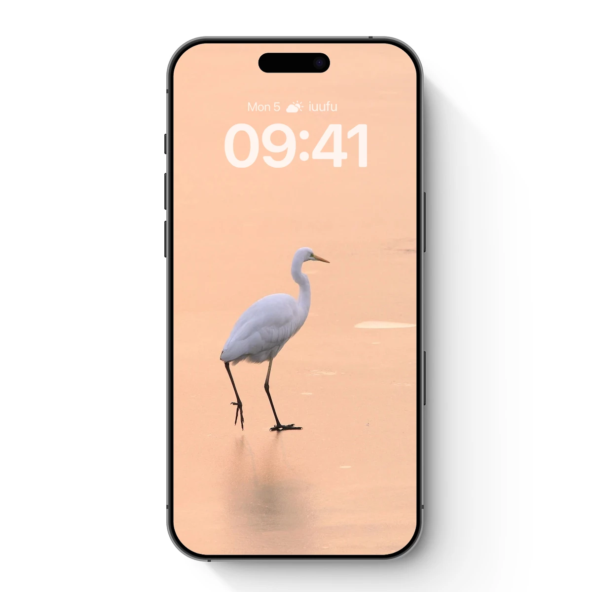 Elegant Solitude: White Heron at Dawn