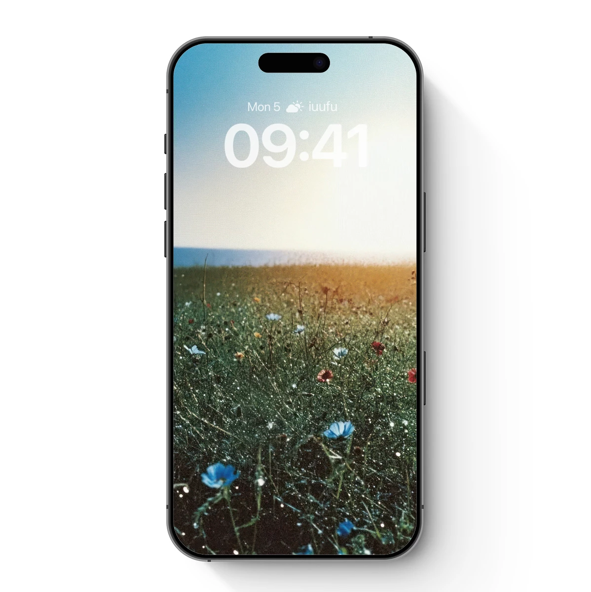 Dew-Kissed Meadow at Dawn Dew-Kissed Meadow at Dawn